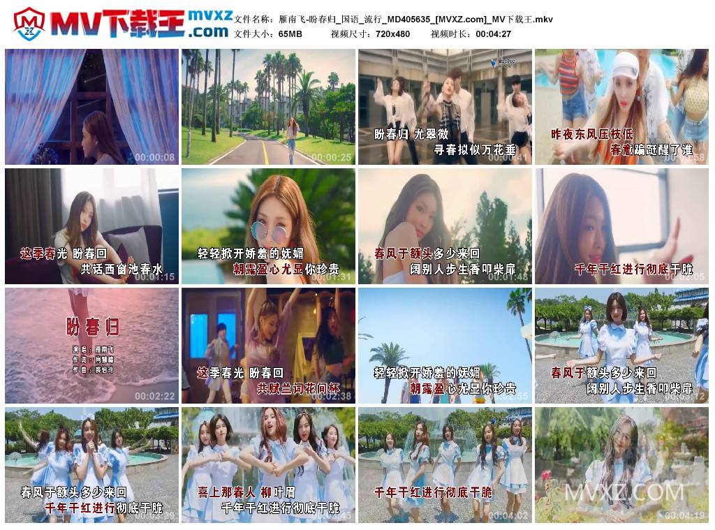 雁南飞-盼春归_国语_流行_MD405635